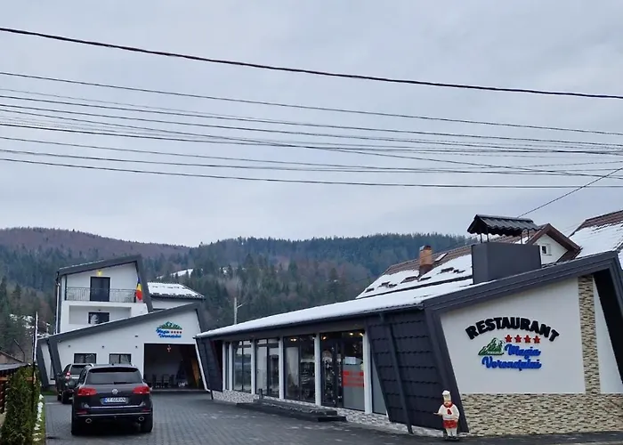 Pensiunea 7 ColinePensiune